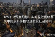 91chigua深度跟踪：实时监控网络暴风中的黑料传播轨迹及其社会影响