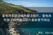 雷电将军腿法娴熟脚法图片，雷电将军腿法娴熟脚法图片最新章节网站