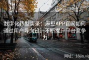 数字化转型实录：麻豆APP官网如何通过用户导向设计不断提升平台竞争力