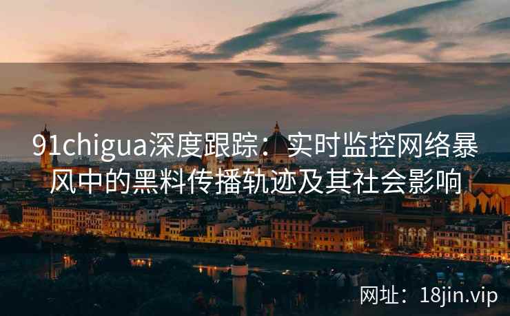91chigua深度跟踪：实时监控网络暴风中的黑料传播轨迹及其社会影响